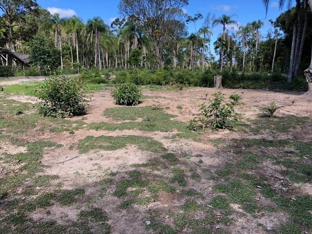 Chácara à venda com 3 quartos, 221m² - Foto 50