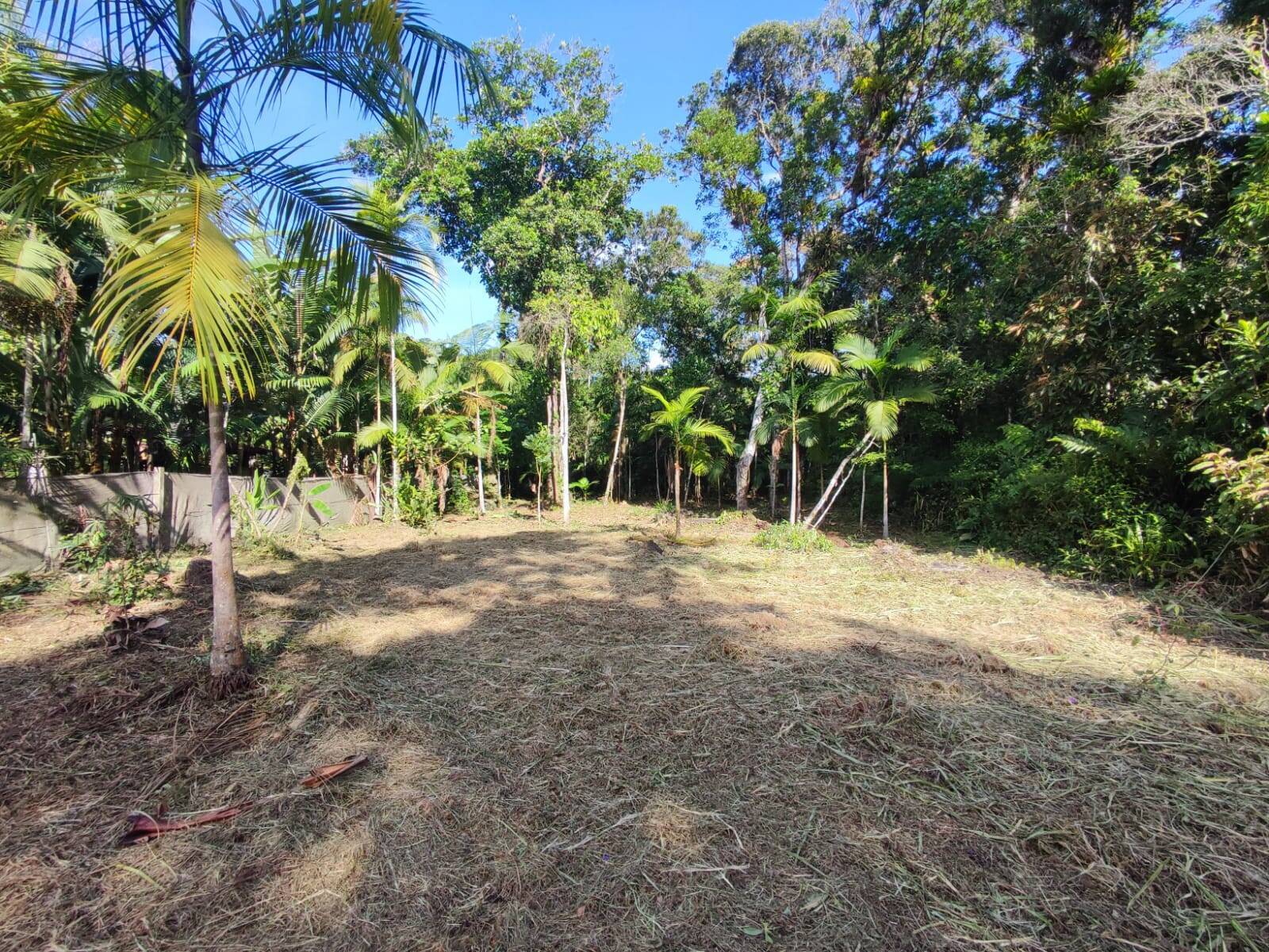 Chácara à venda com 3 quartos, 115m² - Foto 22