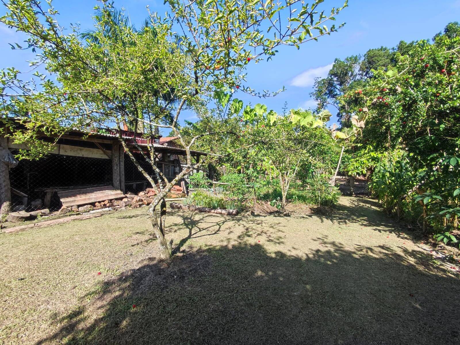 Chácara à venda com 3 quartos, 115m² - Foto 18