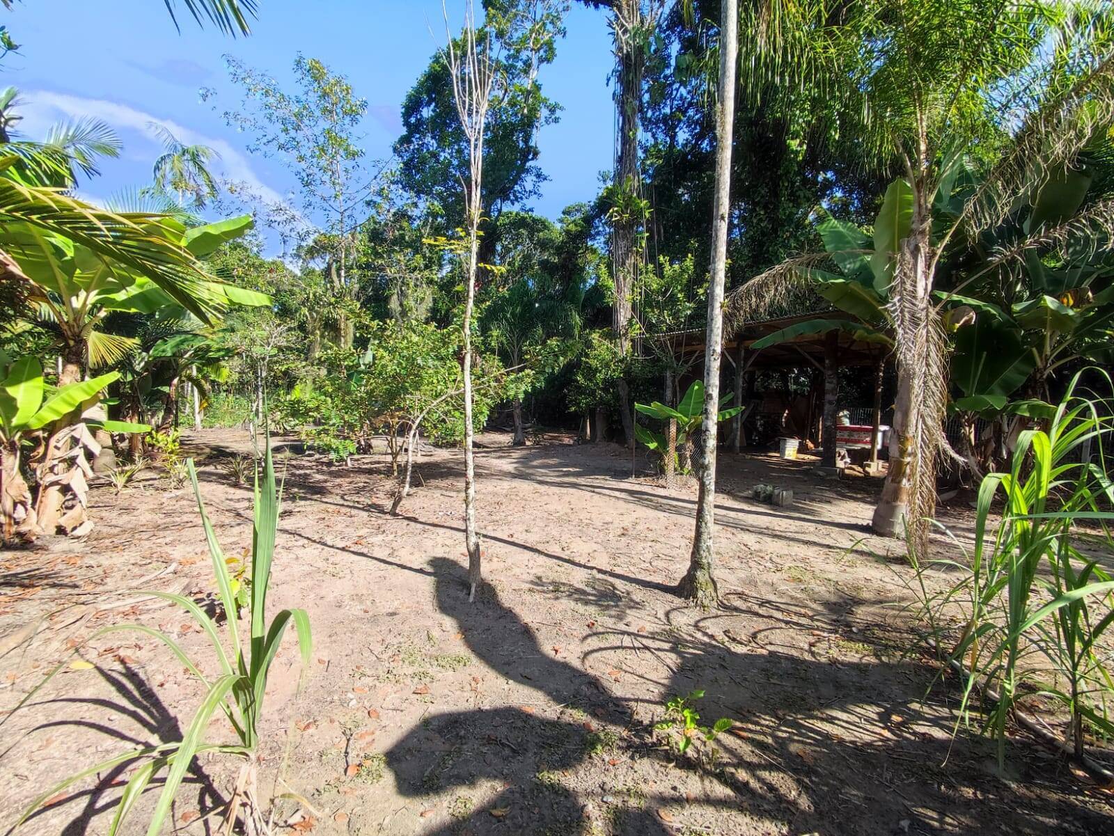 Chácara à venda com 3 quartos, 115m² - Foto 19