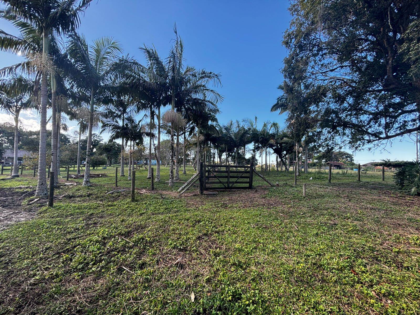 Chácara à venda com 4 quartos, 150m² - Foto 28