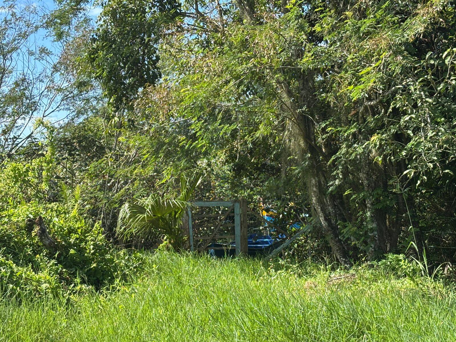 Casa, 3 quartos, 54 m² - Foto 10