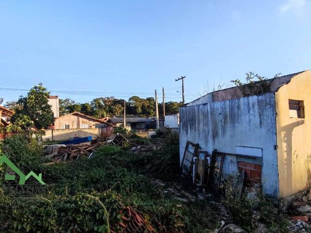 #2033 - Terreno para Venda em Balneário Barra do Sul - SC - 3