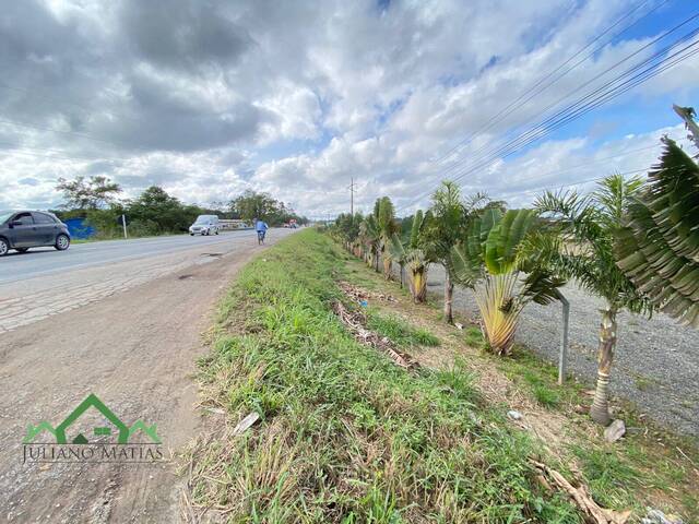 Terreno para Venda em Araquari - 4
