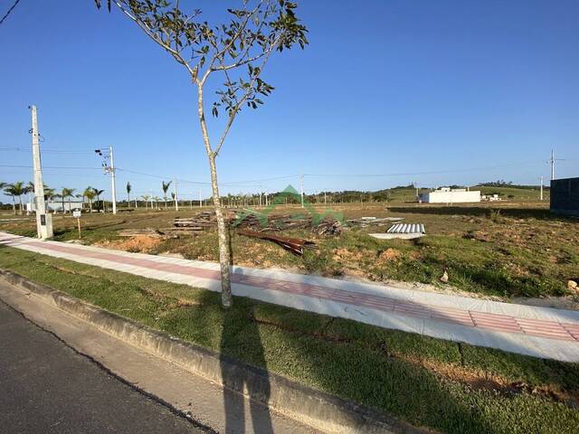 Terreno para Venda em Araquari - 4