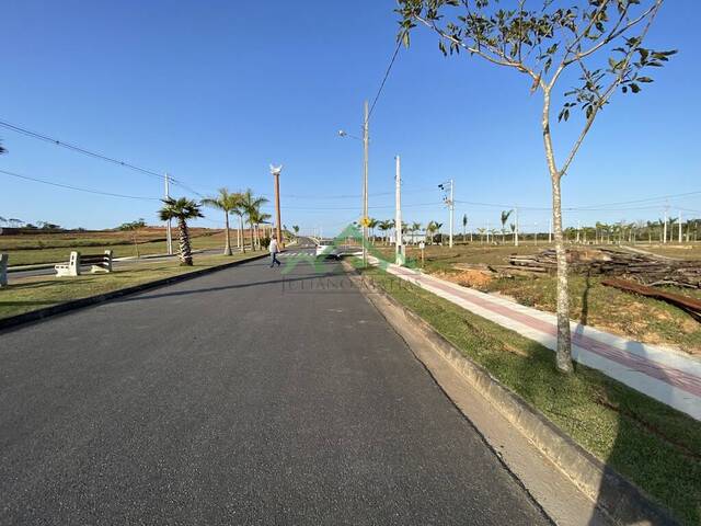 Terreno para Venda em Araquari - 5