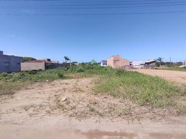 #2139 - Terreno para Venda em Balneário Barra do Sul - SC - 1