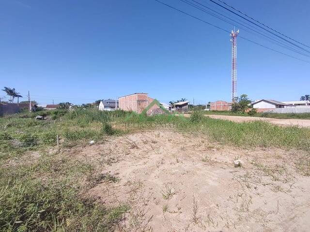 #2139 - Terreno para Venda em Balneário Barra do Sul - SC - 3