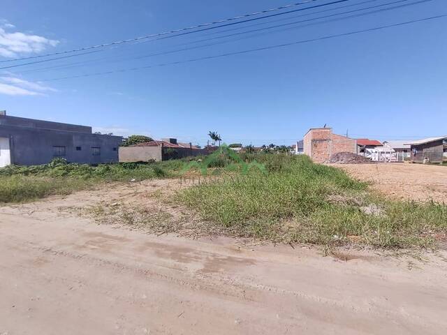 #2139 - Terreno para Venda em Balneário Barra do Sul - SC - 2