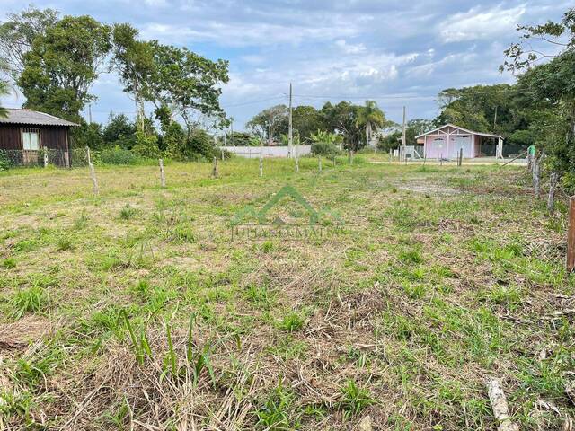 Terreno para Venda em Balneário Barra do Sul - 4