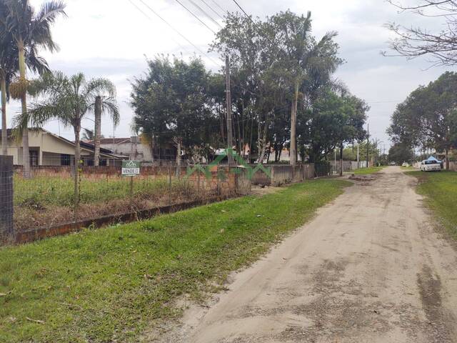 #2393 - Terreno para Venda em Balneário Barra do Sul - SC - 2