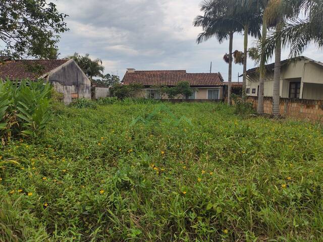 #2393 - Terreno para Venda em Balneário Barra do Sul - SC - 3