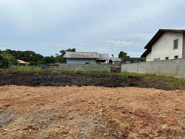 #2035 - Terreno para Venda em Balneário Barra do Sul - SC - 3