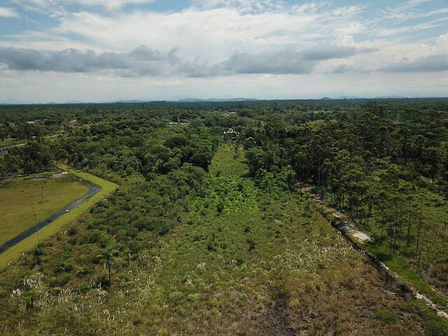 #2480 - Área para Venda em Balneário Barra do Sul - SC - 1