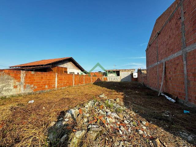 Terreno para Venda em Araquari - 4