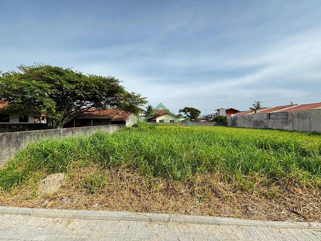 #2532 - Área para Venda em Balneário Barra do Sul - SC - 1