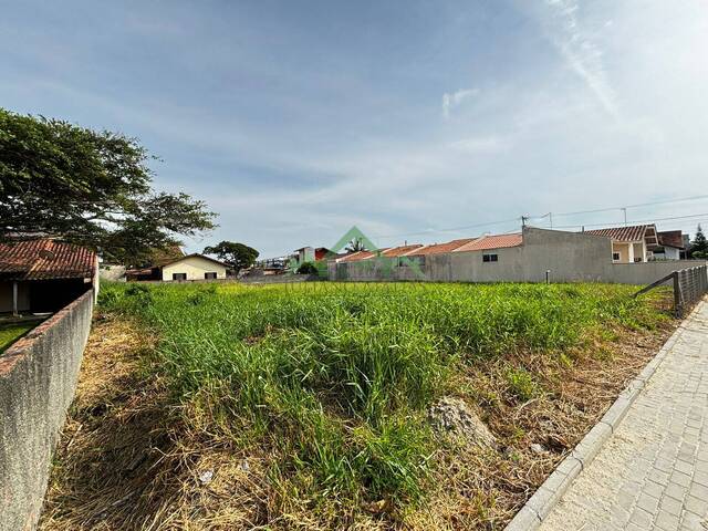 Terreno para Venda em Balneário Barra do Sul - 4