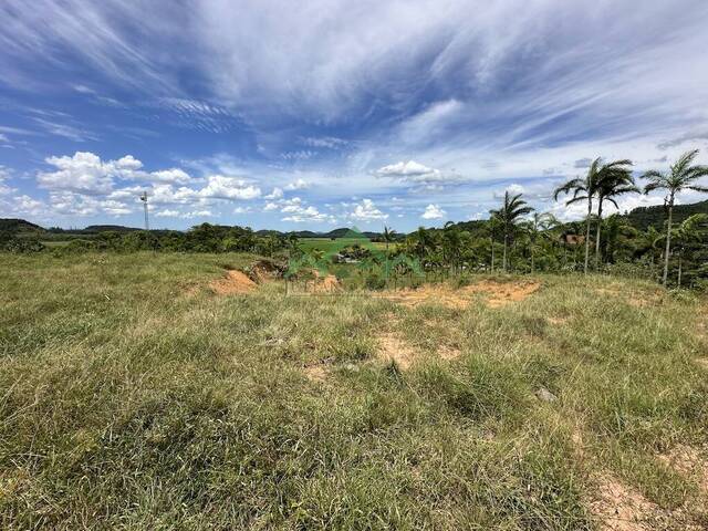 Terreno para Venda em Guaramirim - 4