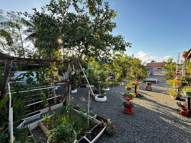 Terreno para Venda em Balneário Barra do Sul - 4