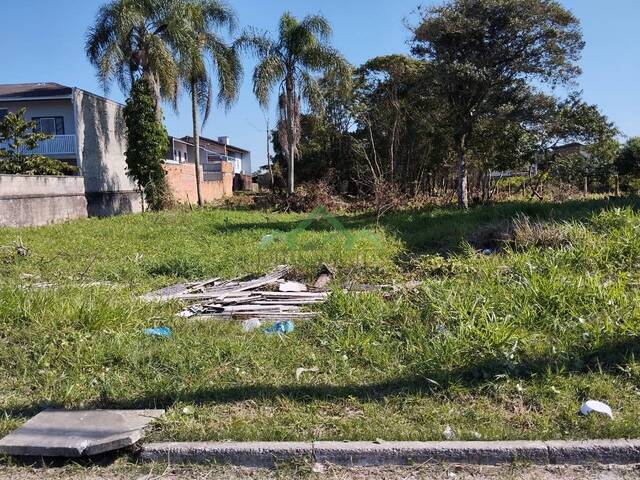 Terreno para Venda em Balneário Barra do Sul - 4