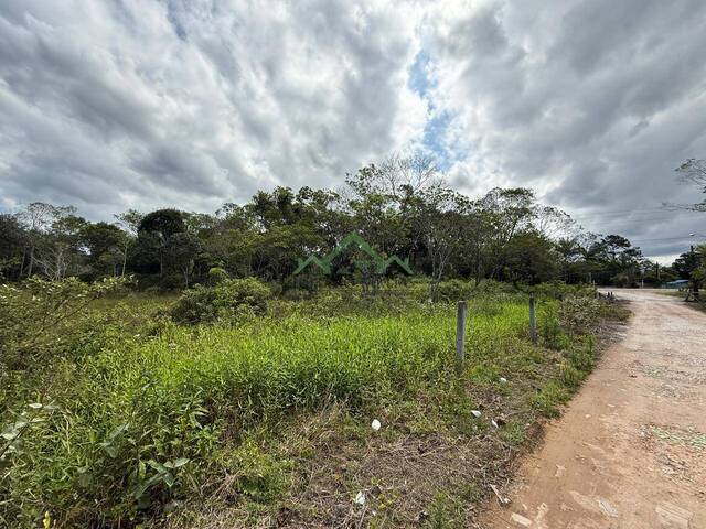 Terreno para Venda em Balneário Barra do Sul - 4