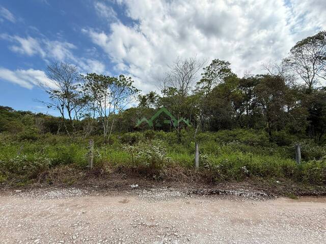 Terreno para Venda em Balneário Barra do Sul - 5