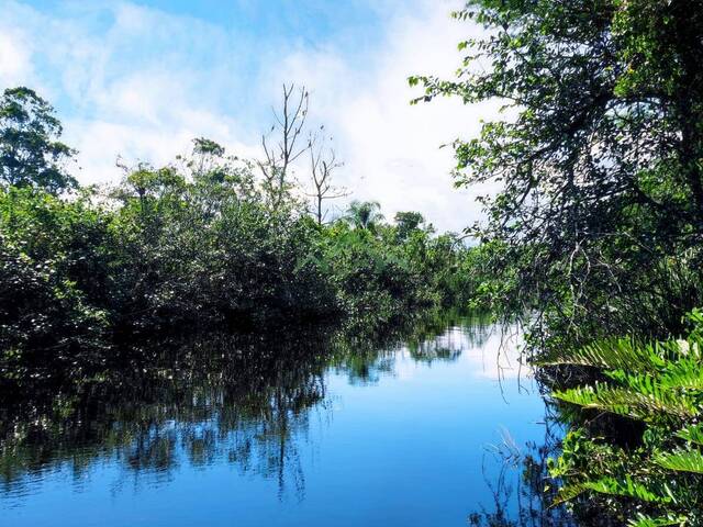 #2770 - Terreno para Venda em Balneário Barra do Sul - SC - 2