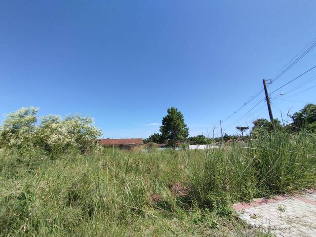 Terreno para Venda em Balneário Barra do Sul - 4