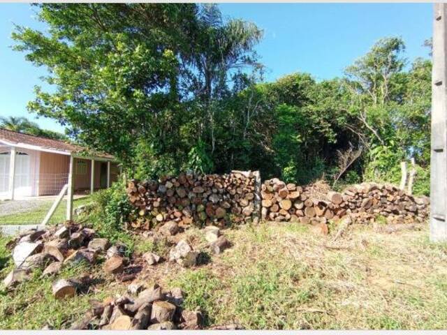#2542 - Terreno para Venda em Balneário Barra do Sul - SC - 1