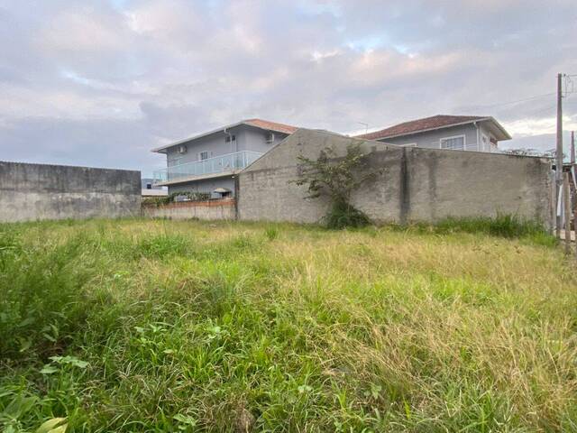 #2847 - Terreno para Venda em Balneário Barra do Sul - SC - 1