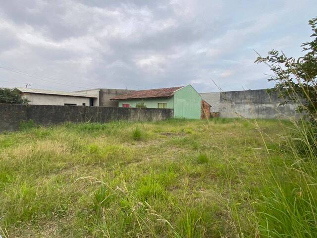 #2847 - Terreno para Venda em Balneário Barra do Sul - SC - 3