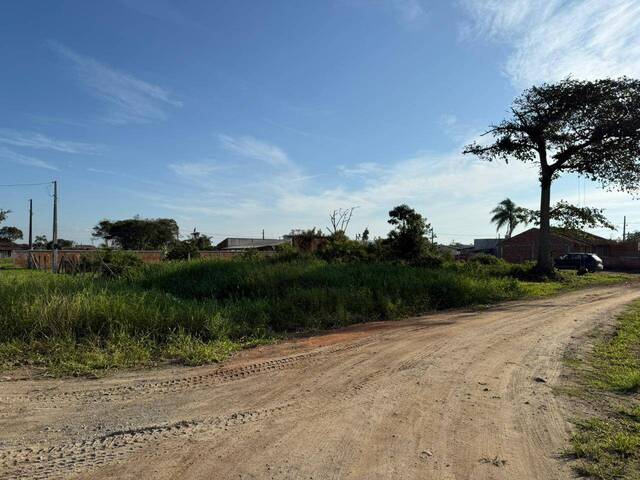 #2855 - Terreno para Venda em Balneário Barra do Sul - SC - 1