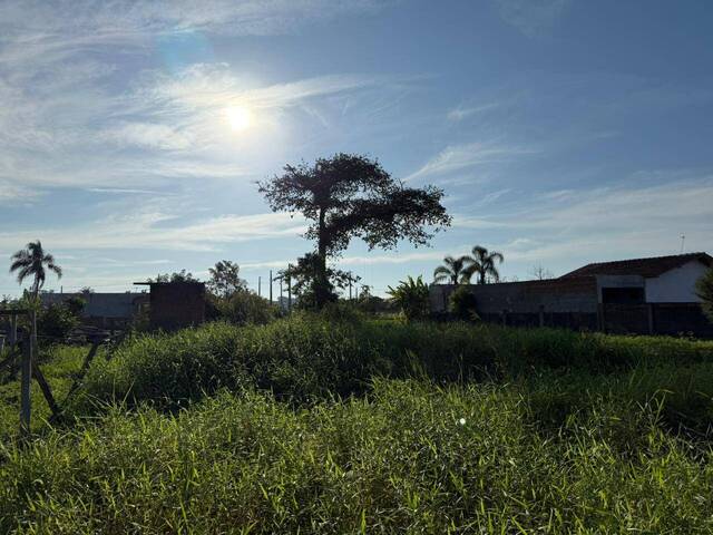 #2855 - Terreno para Venda em Balneário Barra do Sul - SC - 2