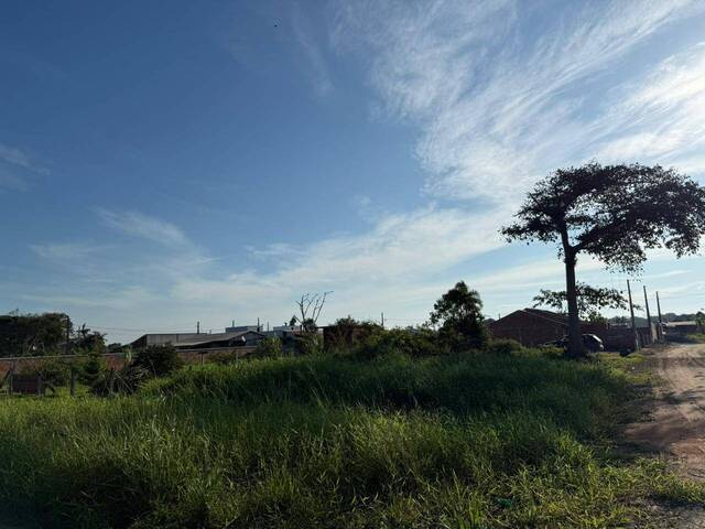 Terreno para Venda em Balneário Barra do Sul - 4
