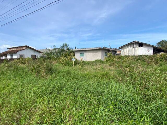 #1163 - Terreno para Venda em Balneário Barra do Sul - SC - 1