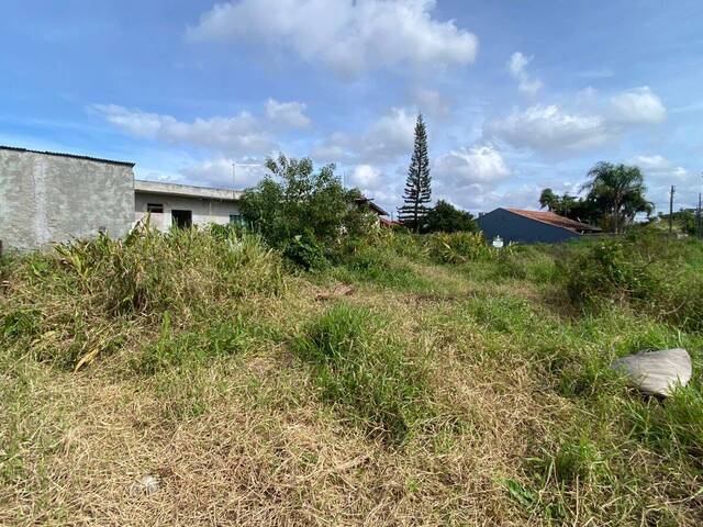 #1163 - Terreno para Venda em Balneário Barra do Sul - SC - 3