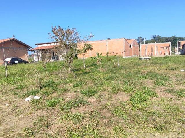#2868 - Terreno para Venda em Balneário Barra do Sul - SC - 1