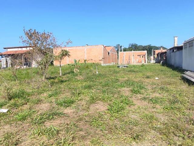 #2868 - Terreno para Venda em Balneário Barra do Sul - SC - 3