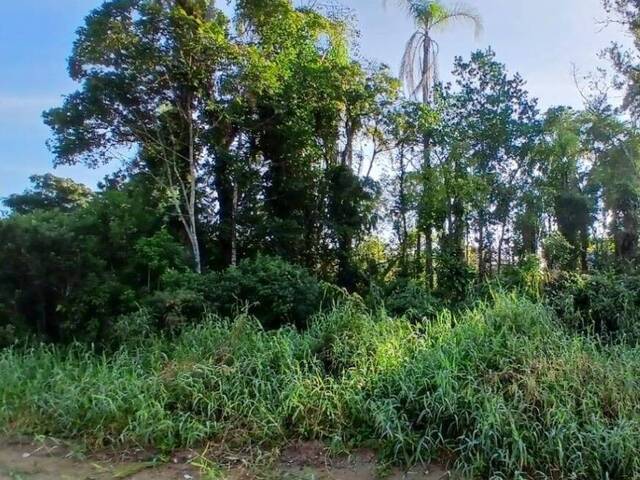 #2870 - Terreno para Venda em Balneário Barra do Sul - SC - 1