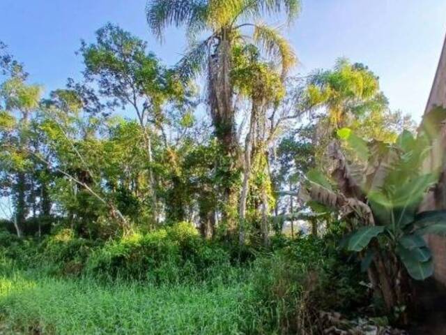 #2871 - Terreno para Venda em Balneário Barra do Sul - SC - 1