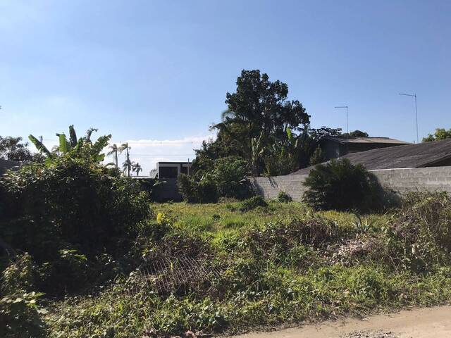 #2872 - Terreno para Venda em Balneário Barra do Sul - SC - 1