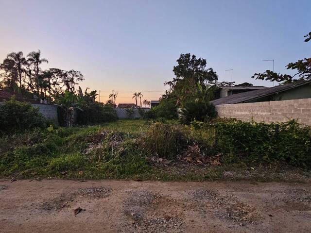 #2872 - Terreno para Venda em Balneário Barra do Sul - SC - 2