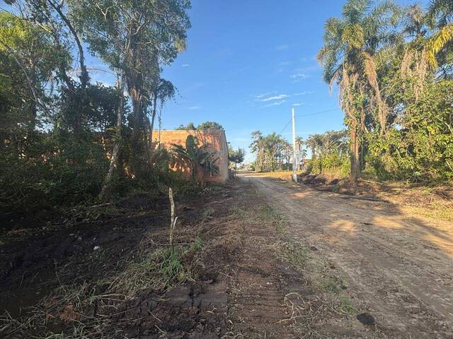 #2871 - Terreno para Venda em Balneário Barra do Sul - SC - 1