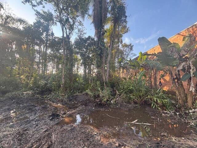 #2871 - Terreno para Venda em Balneário Barra do Sul - SC - 2