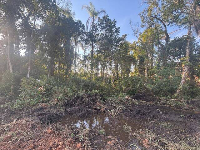 #2870 - Terreno para Venda em Balneário Barra do Sul - SC - 1