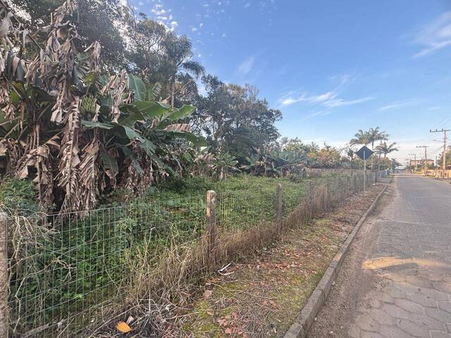 #2869 - Terreno para Venda em Balneário Barra do Sul - SC - 2