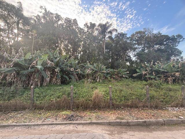 #2869 - Terreno para Venda em Balneário Barra do Sul - SC - 3