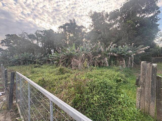 Terreno para Venda em Balneário Barra do Sul - 4