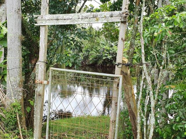 #2888 - Terreno para Venda em Balneário Barra do Sul - SC - 2