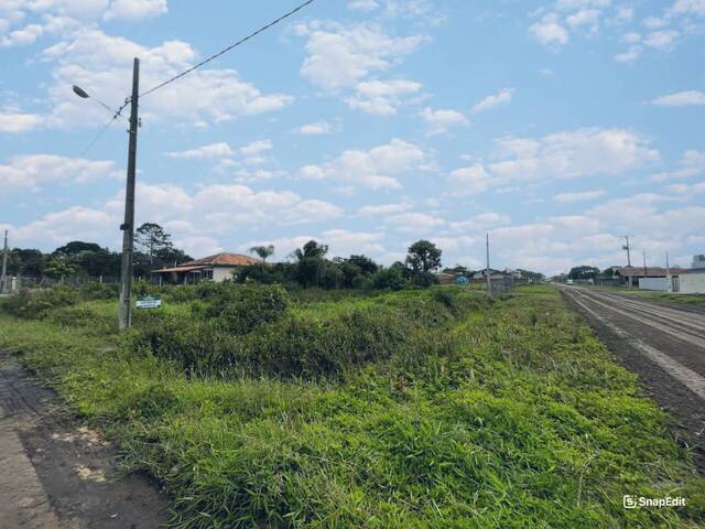 #2892 - Terreno para Venda em Balneário Barra do Sul - SC - 1